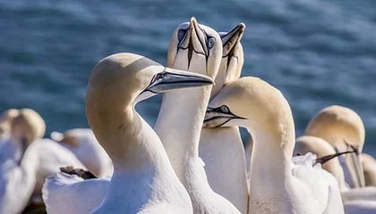 星空体育下载-体育新闻中心发布智慧场馆内容发布全景解决方案，体育场馆智慧化服务的体现