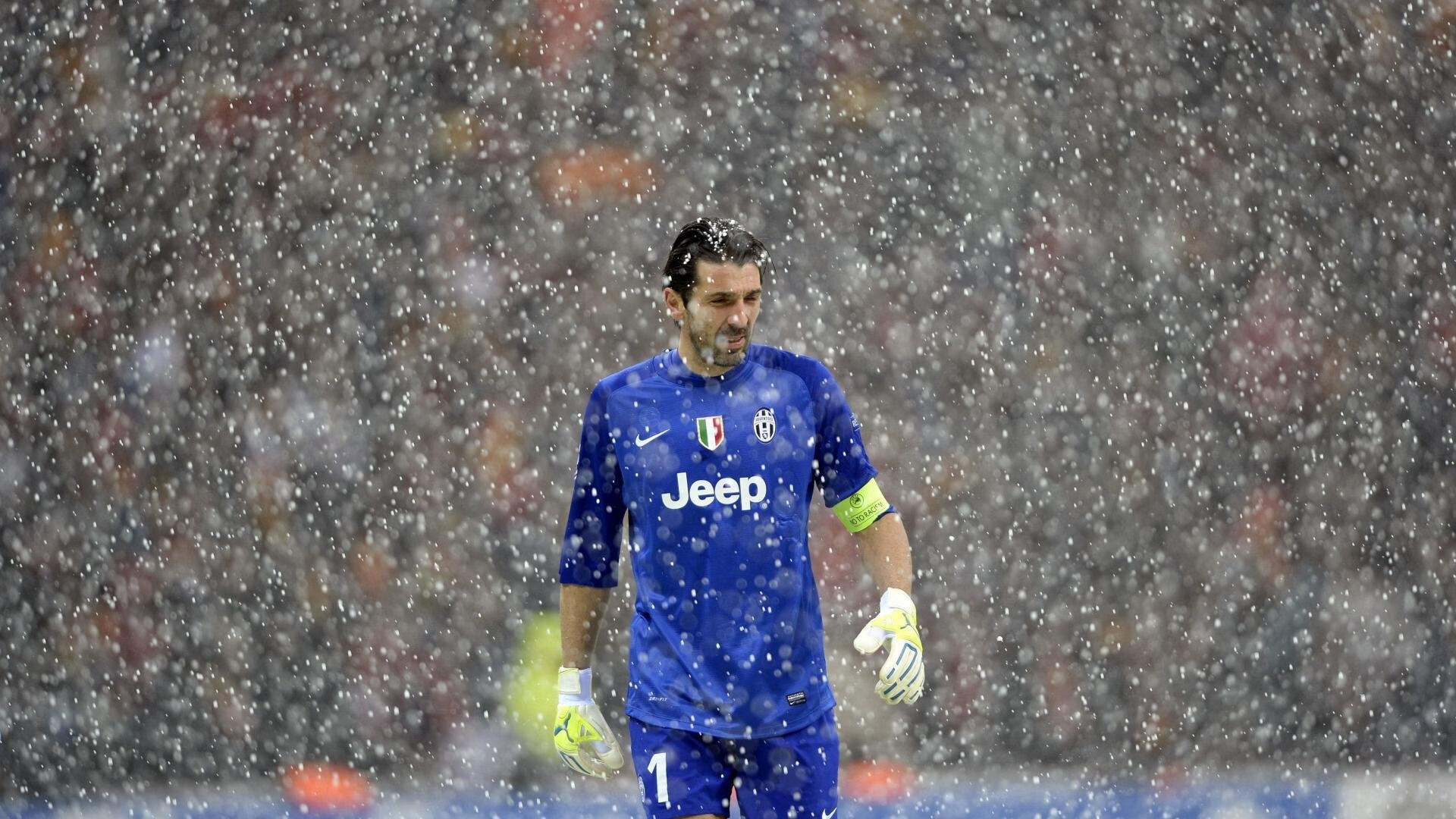 亚历克斯·格林伍德展现坚固防守,帮助袋鼠队锁定胜局,格林伍德合同